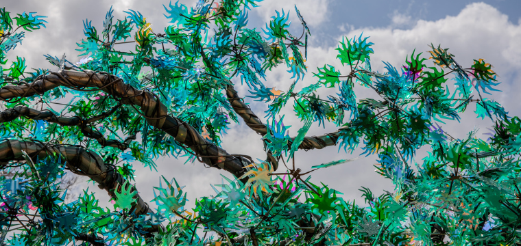 San Antonio Botanical Garden
