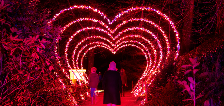 Lightscape | San Antonio Botanical Garden